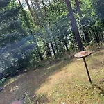 Holiday home Waldzauber Schenkendobern