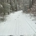 Waldzauber * Schenkendobern