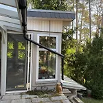 Waldzauber *