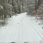 Waldzauber Schenkendobern