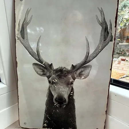 Сasa de vacaciones Lakeside-hideaway