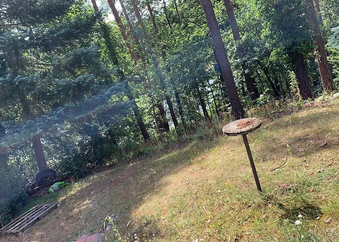 度假居 Waldzauber Schenkendobern