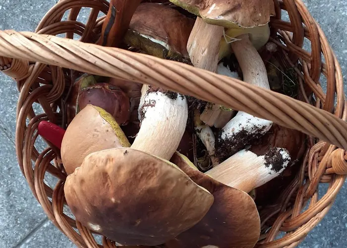 度假居 Waldzauber *