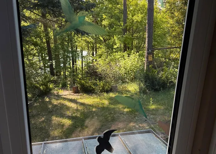 Waldzauber 度假居 Schenkendobern