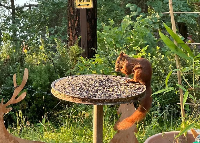 度假居 Waldzauber Schenkendobern