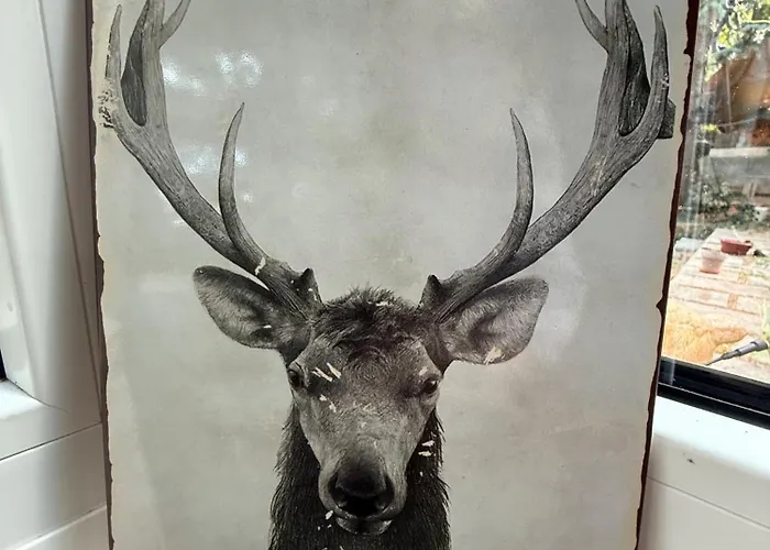 Ferienhaus Lakeside-hideaway