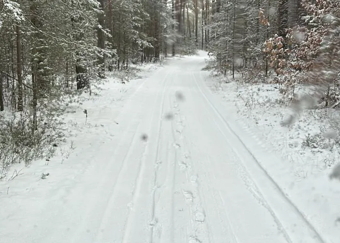 Waldzauber * Schenkendobern