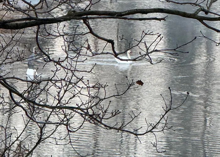 Lakeside-hideaway * Schenkendobern